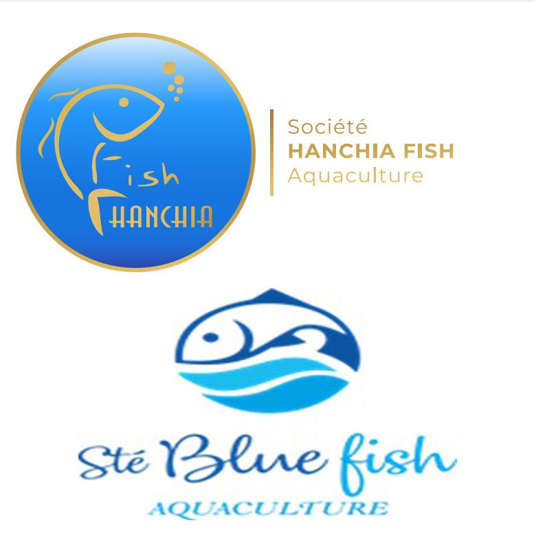 Hencha Fish